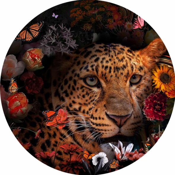 Glasschilderij Junglebook 100x100